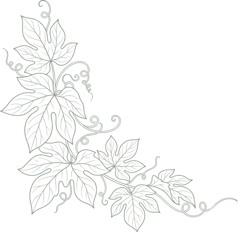 Gac Vine Line Art