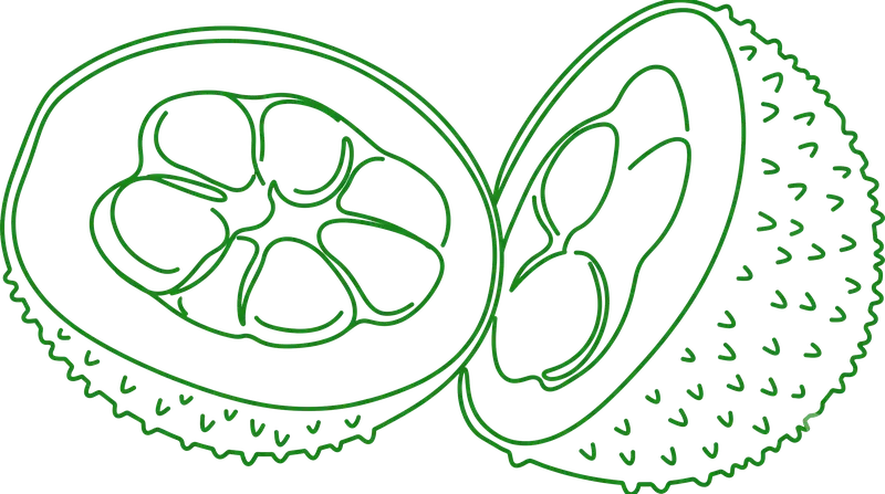 Gac Fruit Cutout Art