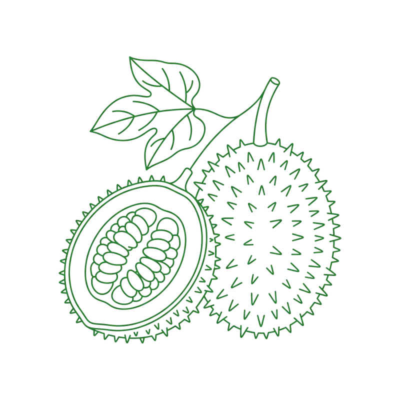 Gac Leaf Botanical Line Art